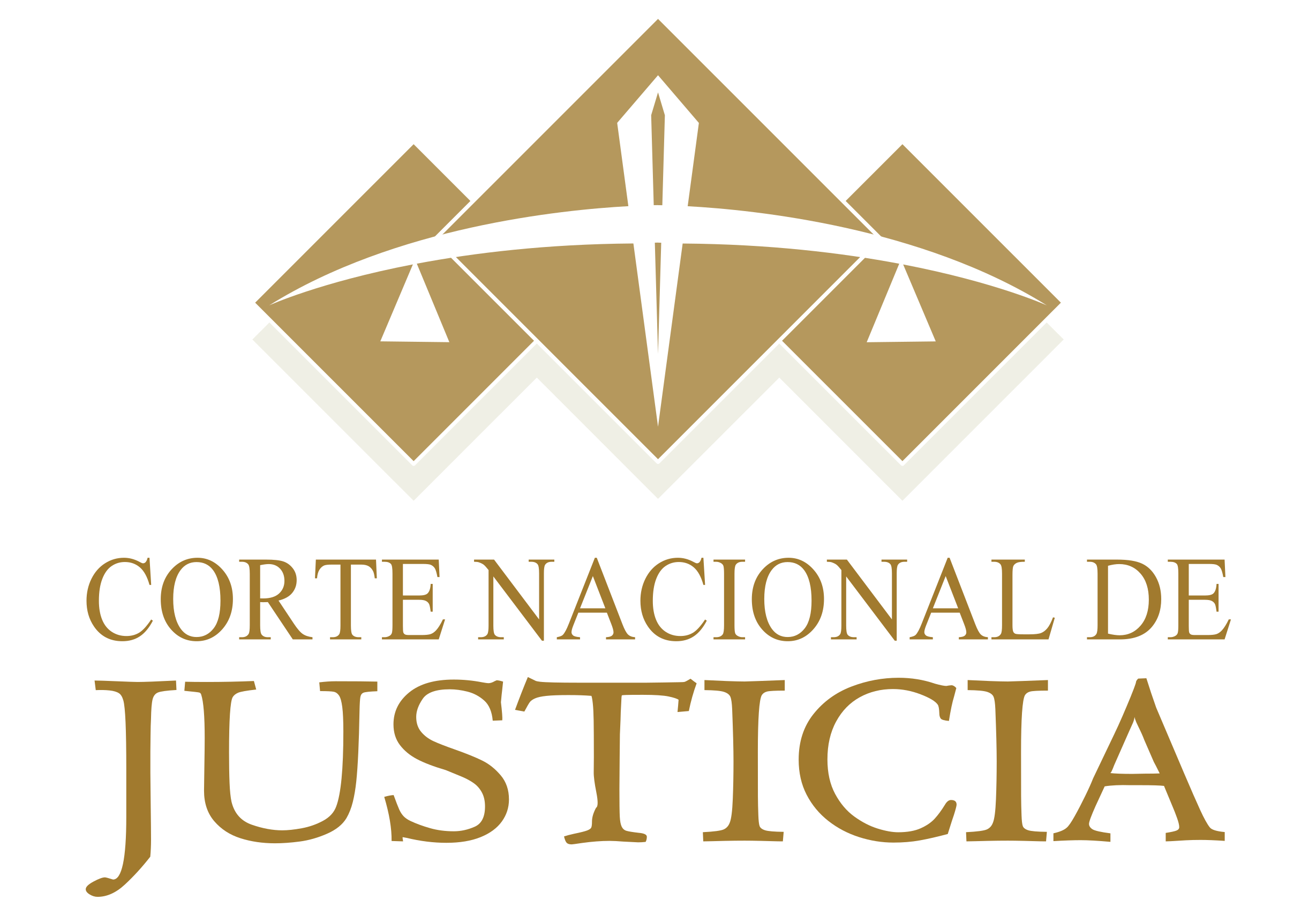 Corte Nacional de Justicia